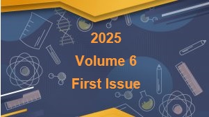 2025, Volume VI, Issue 1
